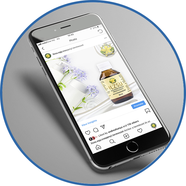 online marketing szeged